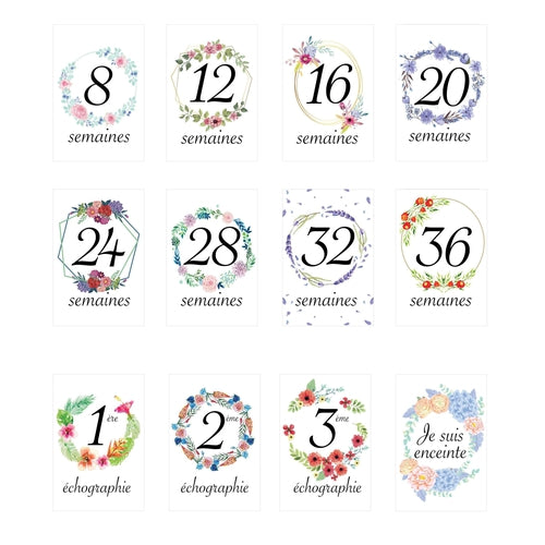 Carte étape grossesse, cartes mois par mois grossesse, 15 cartes papier  photo finition glacé, cartes évolution grossesse à florale vert :  : Produits Handmade