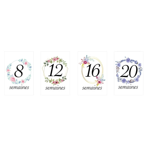 Carte étape grossesse, cartes mois par mois grossesse florale rose, 16  cartes papier photo finition glacé : : Produits Handmade