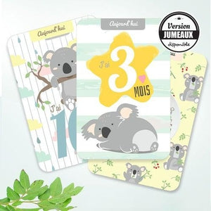 Cartes étapes avec illustration de koalas