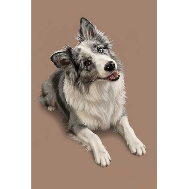 Portrait de votre animal en aquarelle – création personnalisée