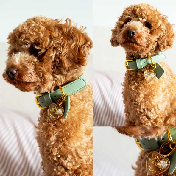Duo Portrait chien personnalisé et sa médaille personnalisée au nom