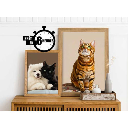 Portrait personnalisé de votre chat – illustration Chat