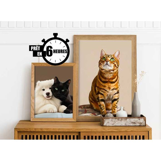 Portrait personnalisé de votre chat – illustration Chat