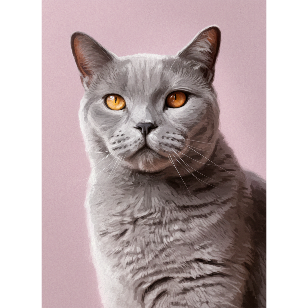 Portrait personnalisé de votre chat – illustration Chat