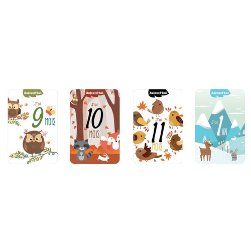 Cartes d'étape mensuelles en bois pour bébé panneaux - Temu Canada