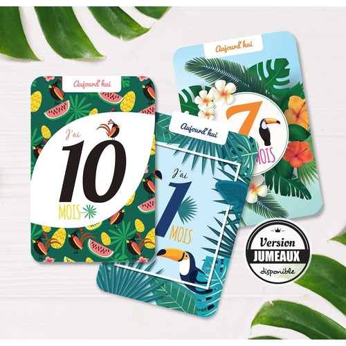 Cartes étapes Collection Tropical