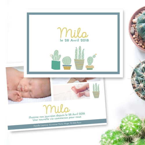 Faire part de naissance cactus pastel