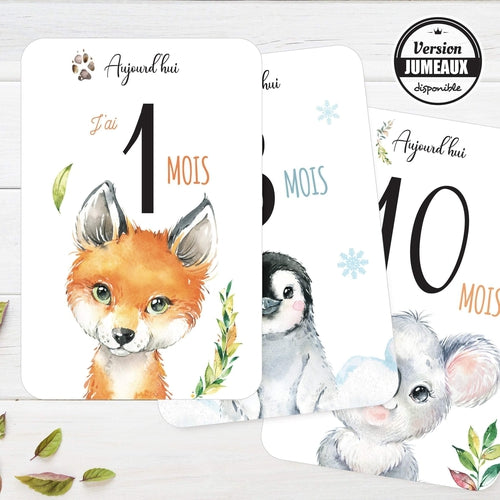 Cartes étapes Collection Animaux